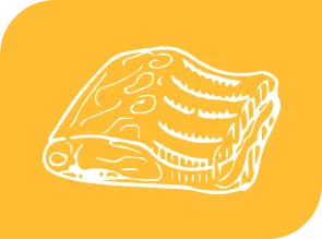 cross-rib
