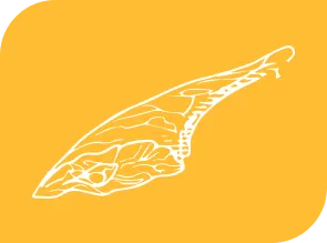 leg